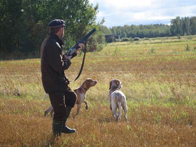 Kuvaus: Kuvaus: IMG_2787