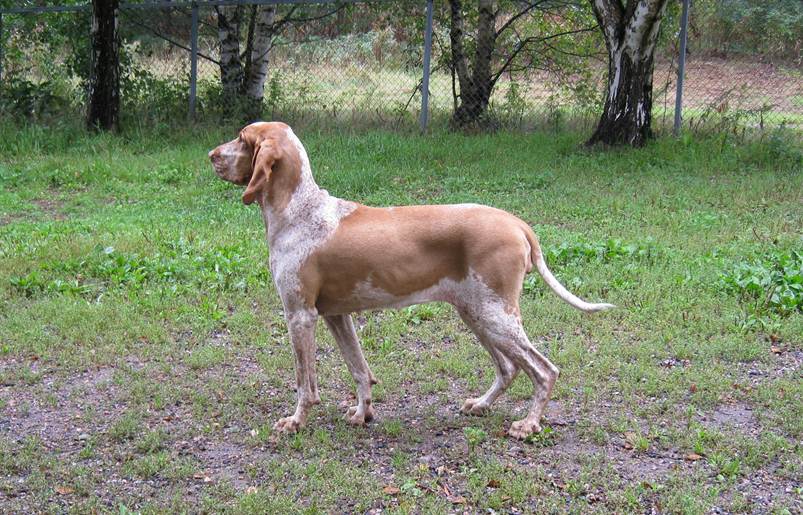 Kuvaus: Kuvaus: IMG_0402